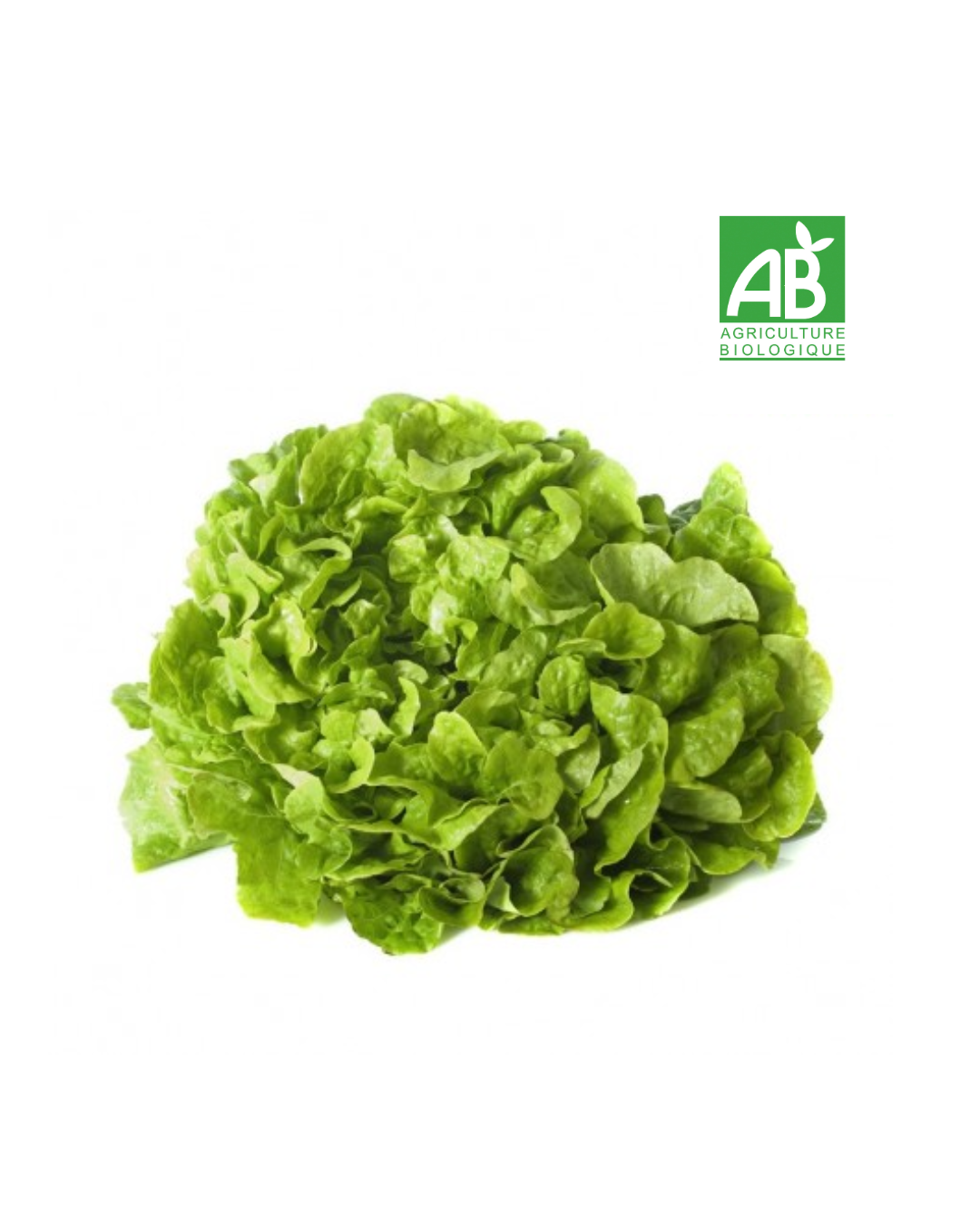 Salade Bio