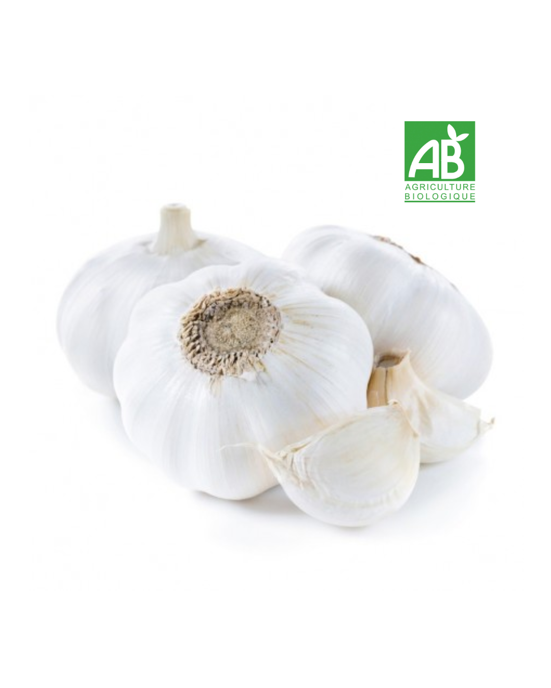 Ail Bio (poche de 100g)