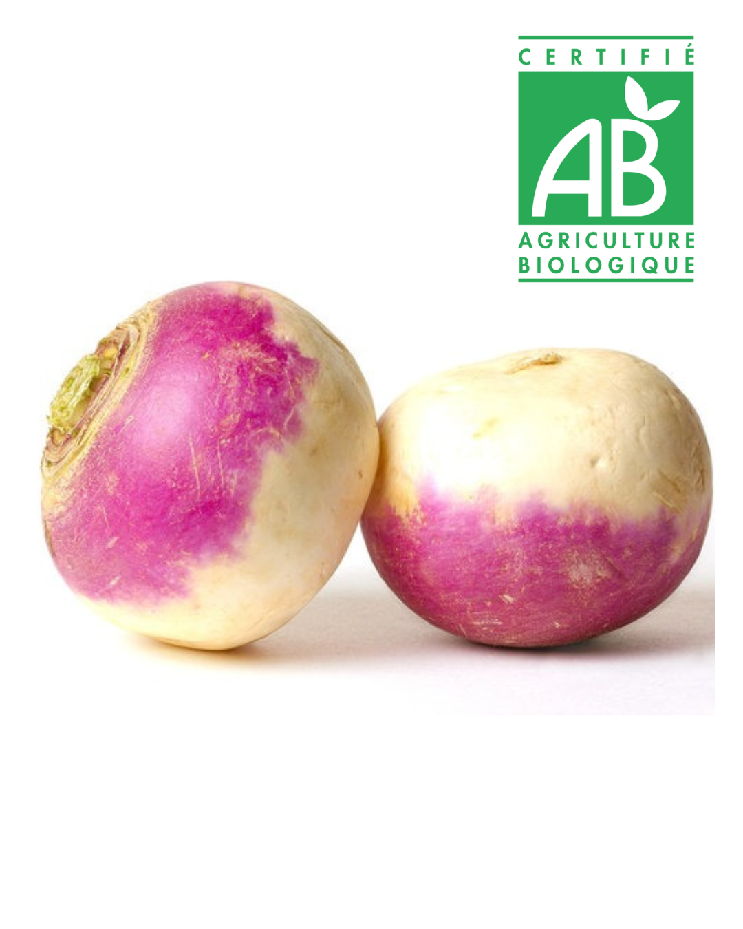 Navet bio (500g)
