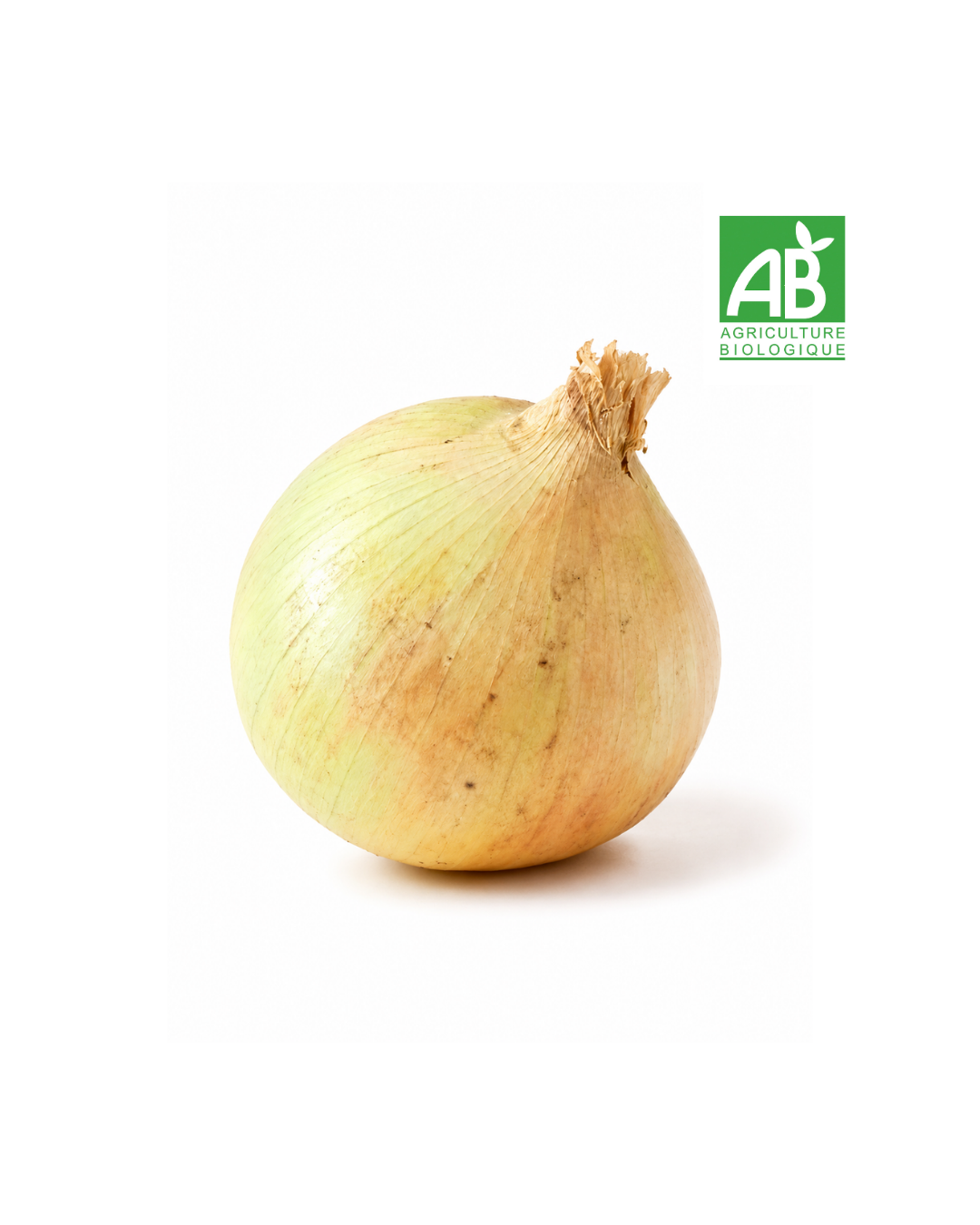 Oignons Jaunes Bio (500g)