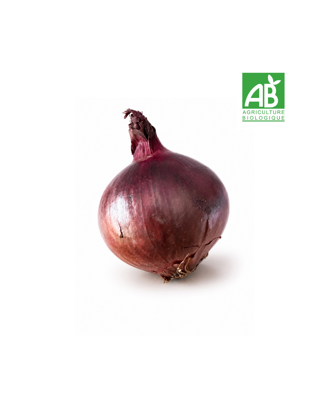 Oignons Rouges Bio (500g)