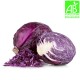 Chou rouge bio