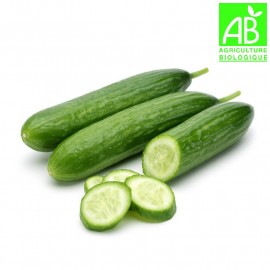 Concombre Bio (500g environ)