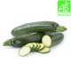 Courgettes bio