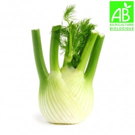 Fenouil Bio (pièce 200g environ)