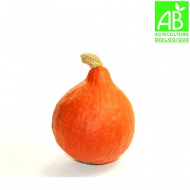 Potimarron bio (environ 1 kg)