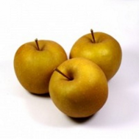 Pommes Bertanne (1 kg)