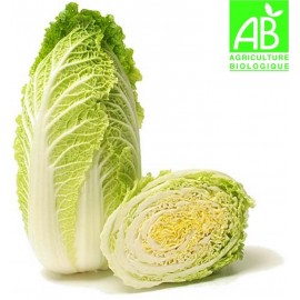 Chou-Chinois Bio (850 g environ)