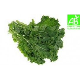 Chou frisé Kale Bio (200g)