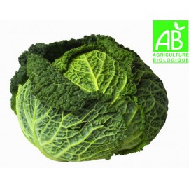 Chou Vert Bio (environ 400g)