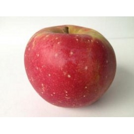 Pomme Florina (1 kg)