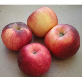 Pomme Juliet (1 kg)