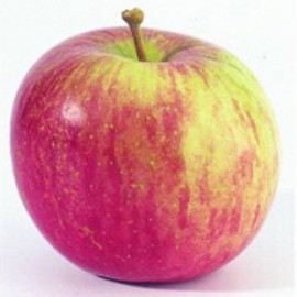 Pomme Fuji (1 kg)