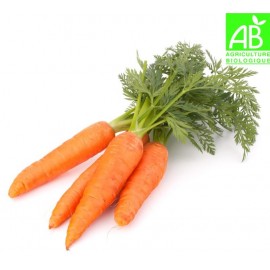 Carottes Bio (la botte)