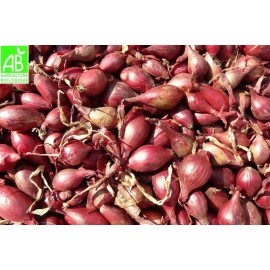 Echalote Bio (poche de 200g)