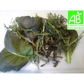 Mesclun de mizuna Bio (150g)