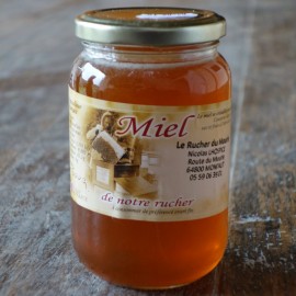 Miel de fleurs (500g)
