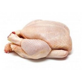 Chapon (environ 4.2 kg)