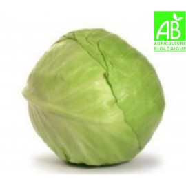 Chou Vert