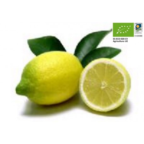 Citrons Bio (1 kg)