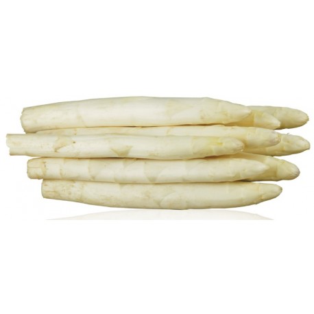 Asperges blanches Bio cal 16-22 (botte de 500g)