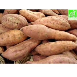 Patates douces Bio (1 kg)