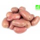 Pommes de terre bio
