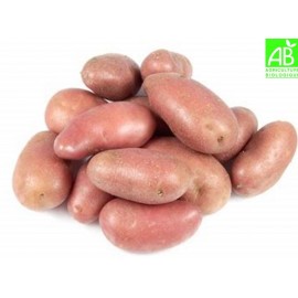 Pommes de terre primeur Bio (1 kg)