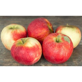Pommes Cybèle (1 kg)