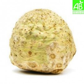 Cèleri Rave Bio (pièce de 500g environ)