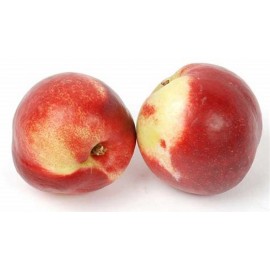 Brugnon (500 g)