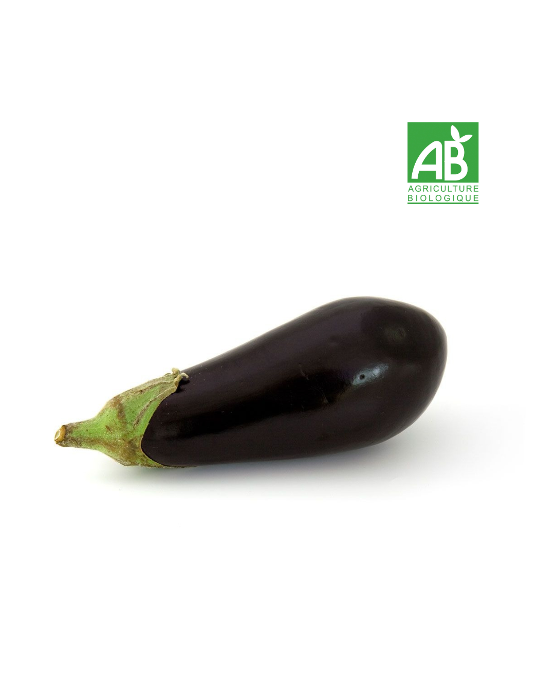Aubergine Bio (1kg)