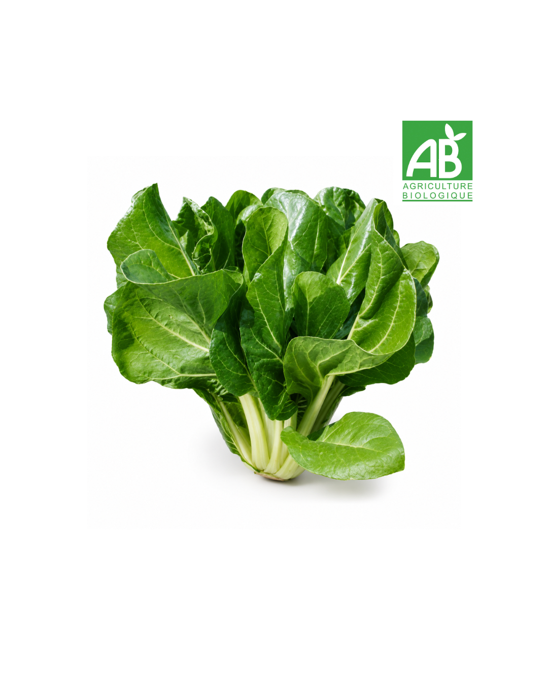 Blette Bio (500g)