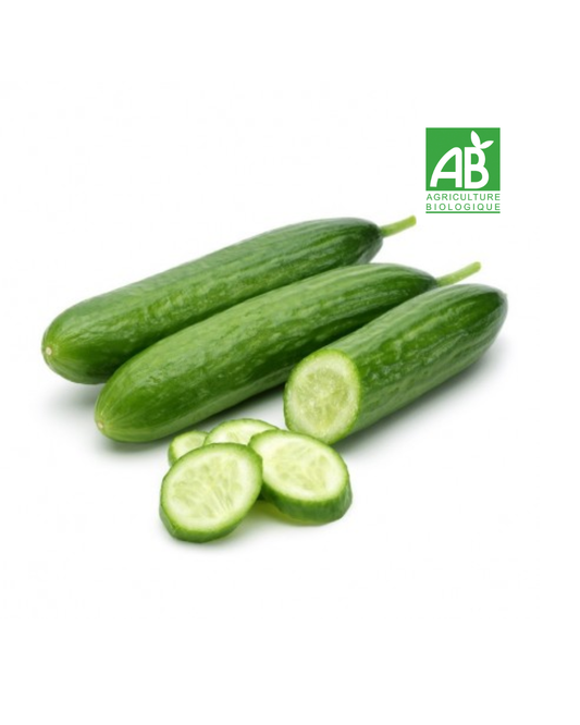 Concombre Bio (500g environ)