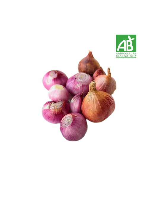 Echalottes ( poche de 200g)