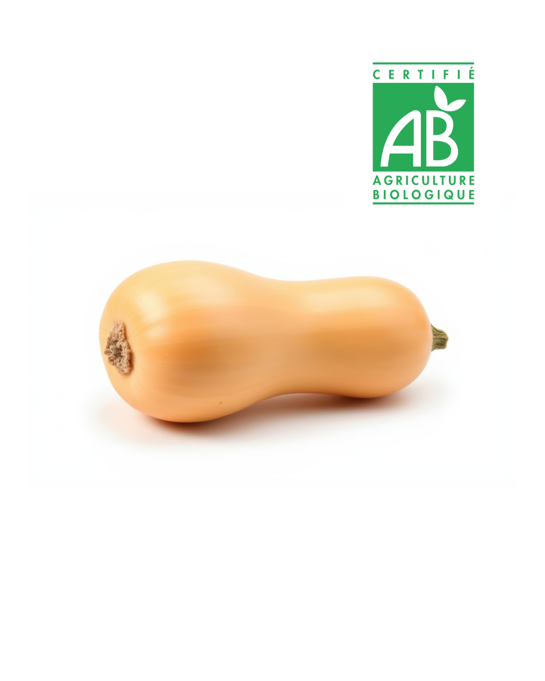 Courge Butternut Bio (1kg)