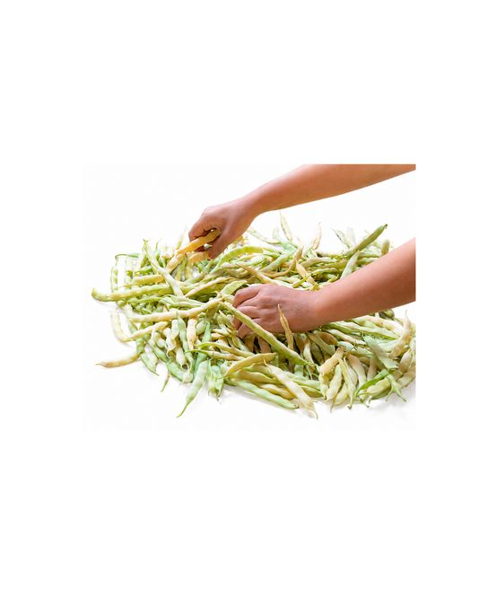 Haricots Tarbais Frais (filet 5 kg)