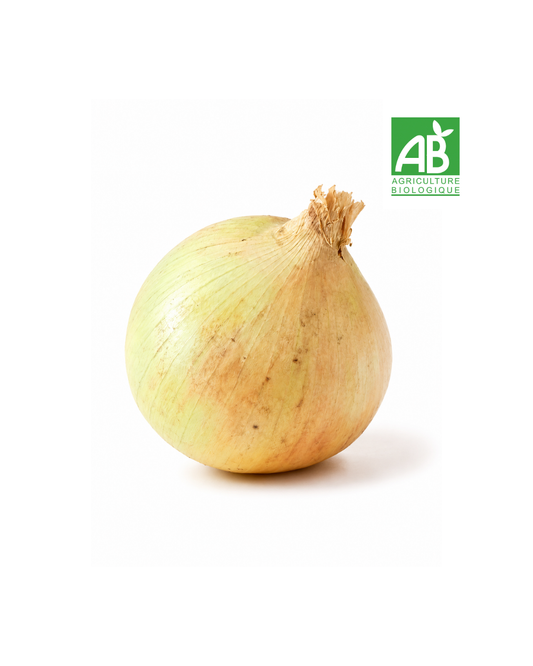 Oignons Jaunes Bio (500g)