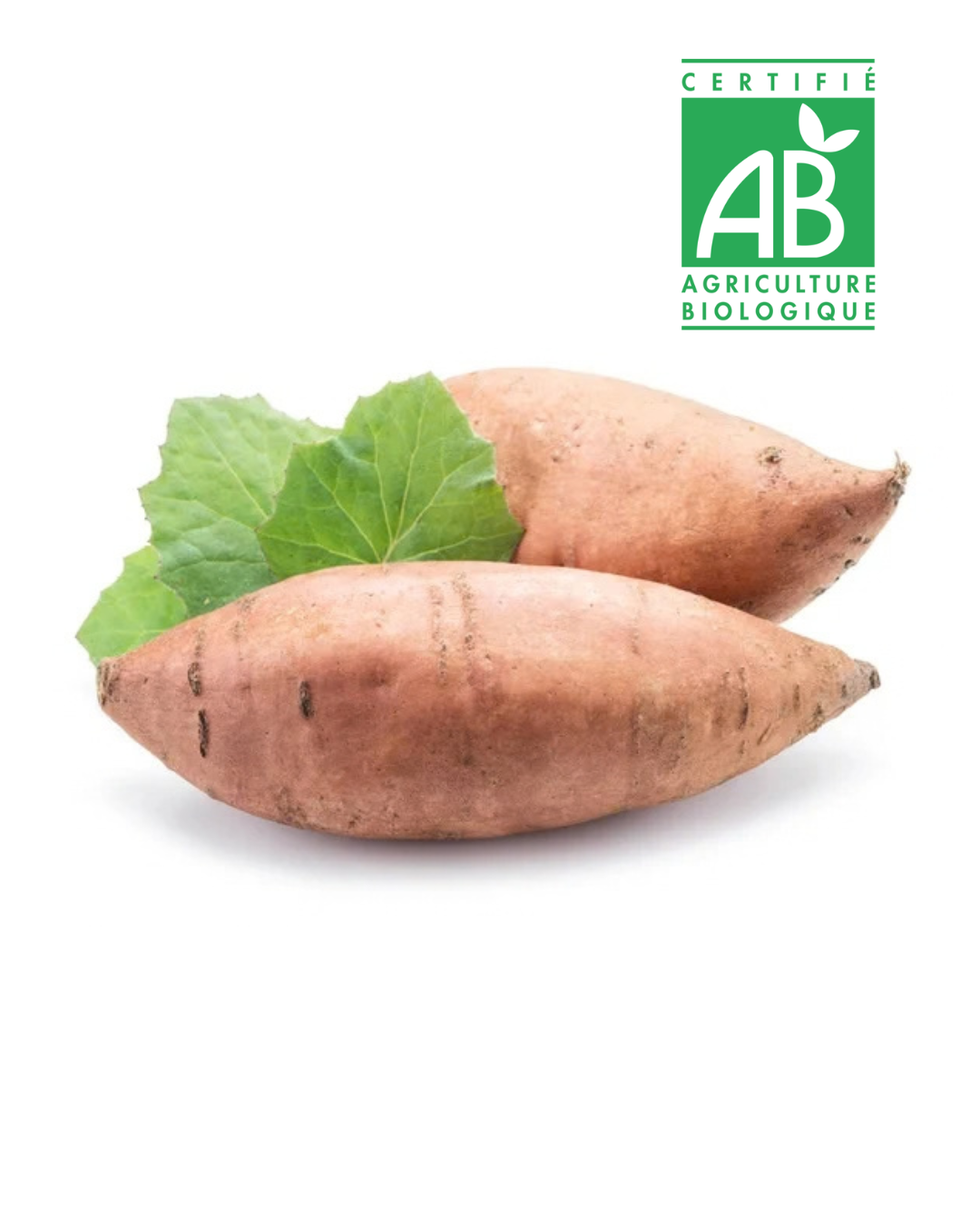 Patate Douce Bio (1 kg)