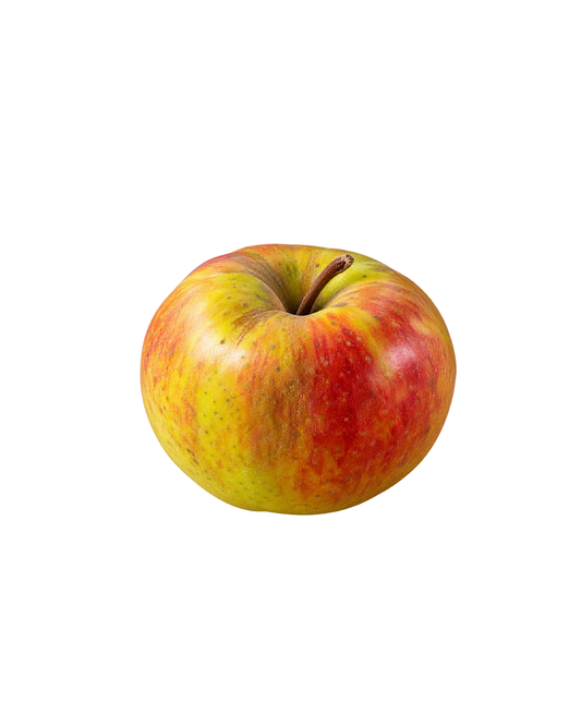 Pomme Reine des reinettes (1 kg)