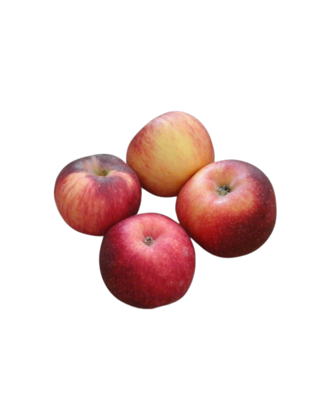 Pommes Gala (1 kg)