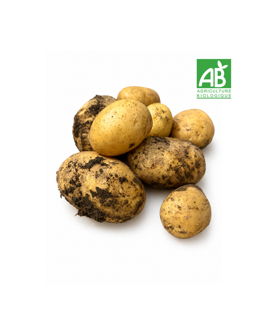 Pommes de terre Primeur Bio (1 kg)