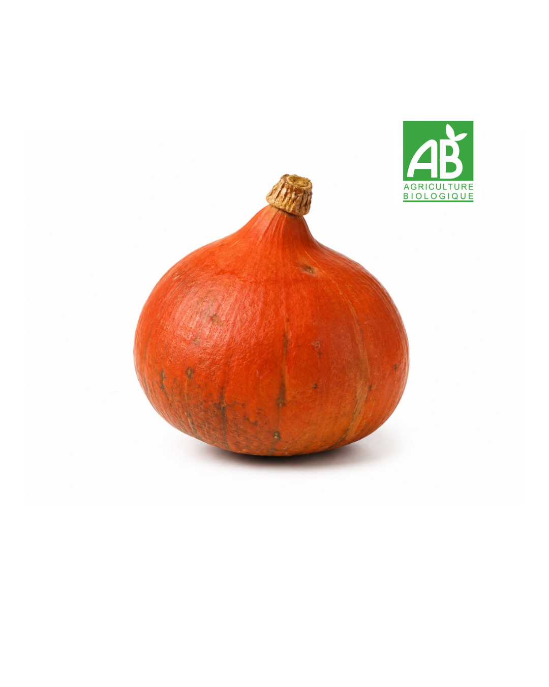 Potimarron Bio (1kg)