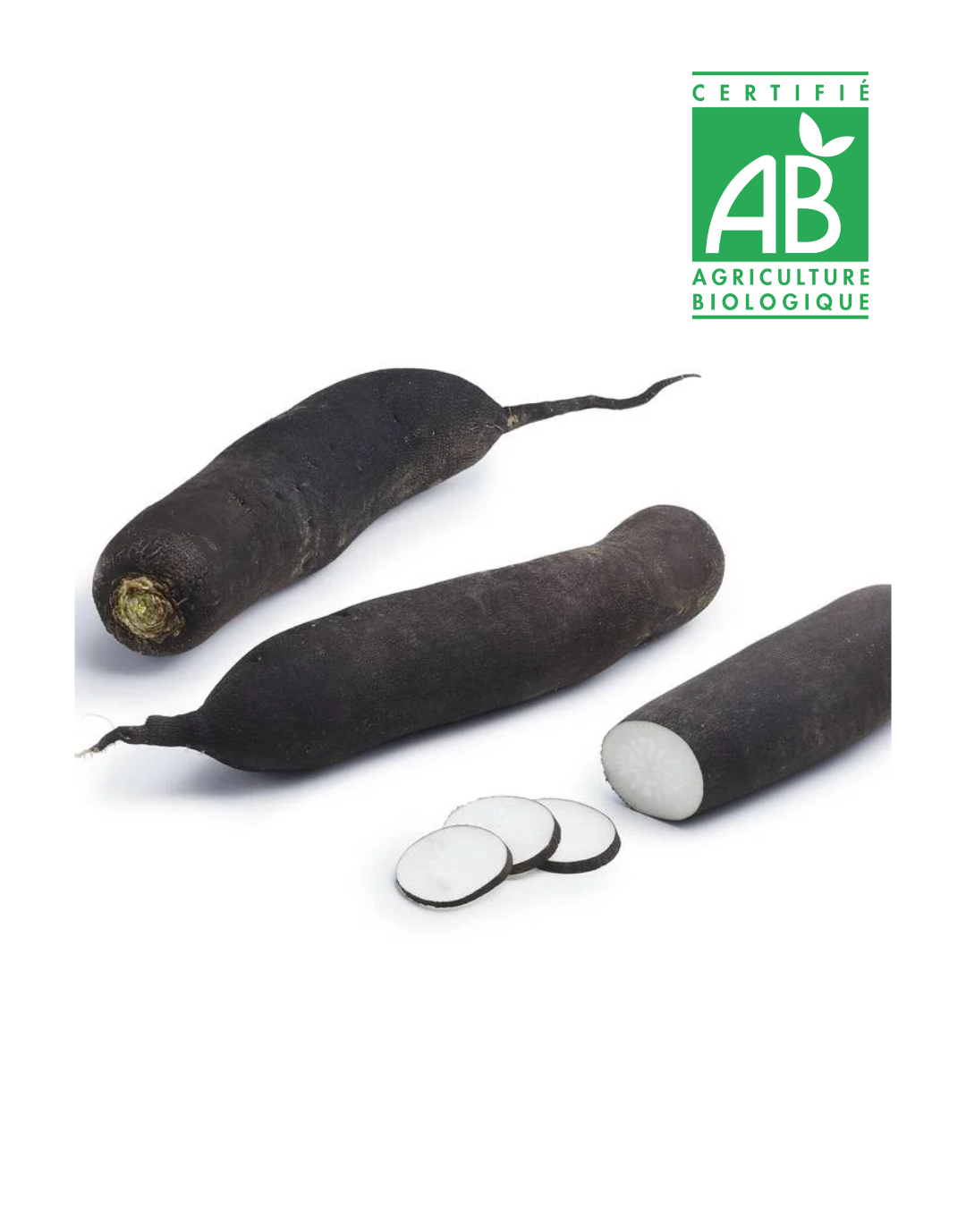 Radis Noir bio (500g)